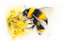 bee