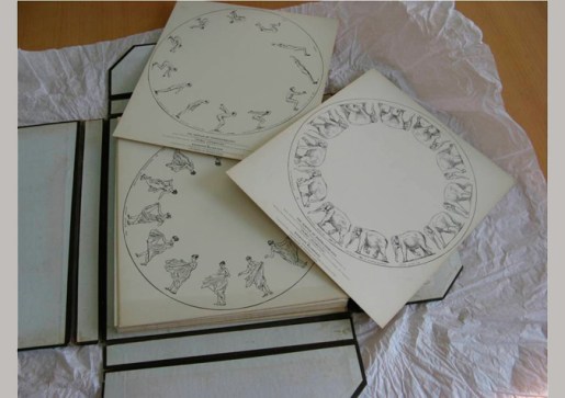 zoopraxiscope-card-fans,-various.