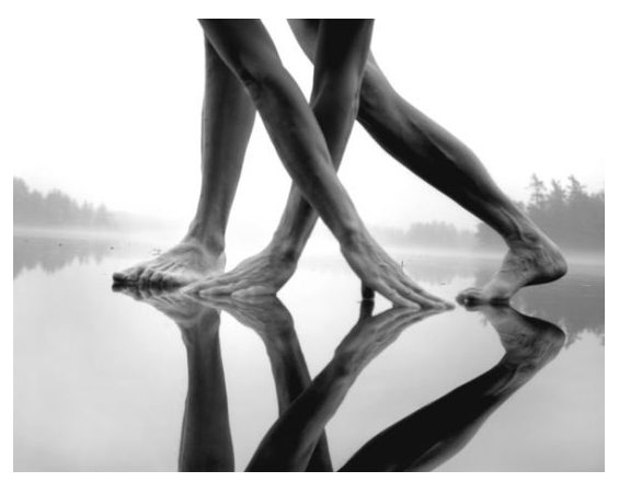 Screen Shot 2019-06-04 at 21.46.27