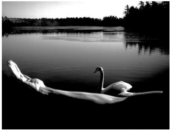 Screen Shot 2019-06-04 at 21.47.00